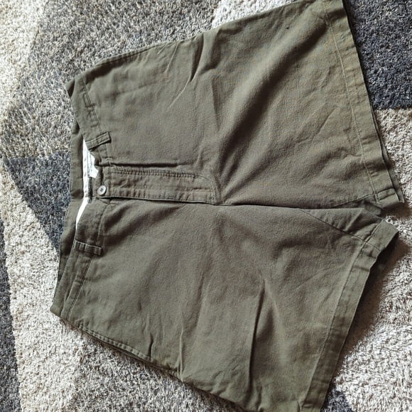 Patagonia organic cotton green shorts size 36 Mens back step shorts 100% organic - Picture 3 of 6